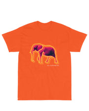 Blazing Neon