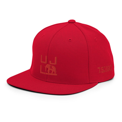 Solid 7.5 Snapback Hat
