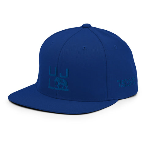 Solid 7.5 Snapback Hat