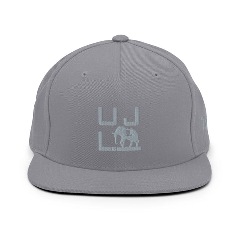 Solid 7.5 Snapback Hat