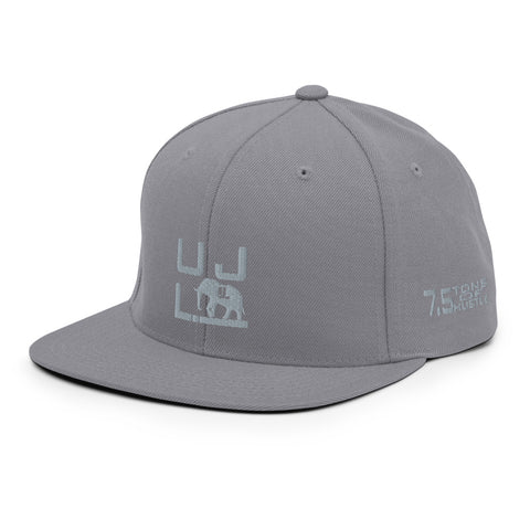 Solid 7.5 Snapback Hat