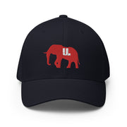 Big RED logo dad hat