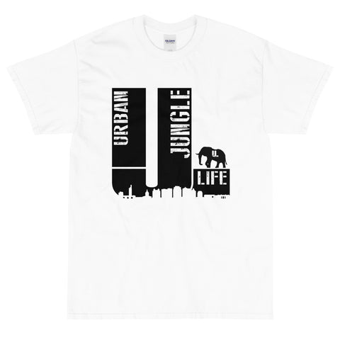 The Original Big logo Big City