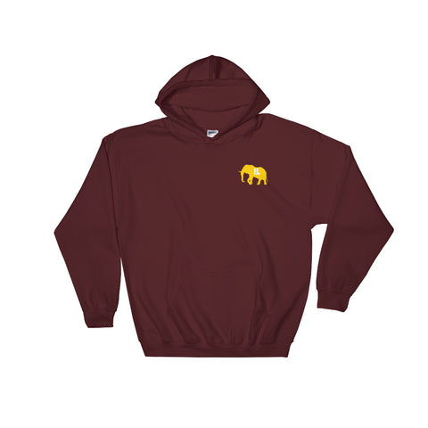 The GOLD STANDARD Hoodie