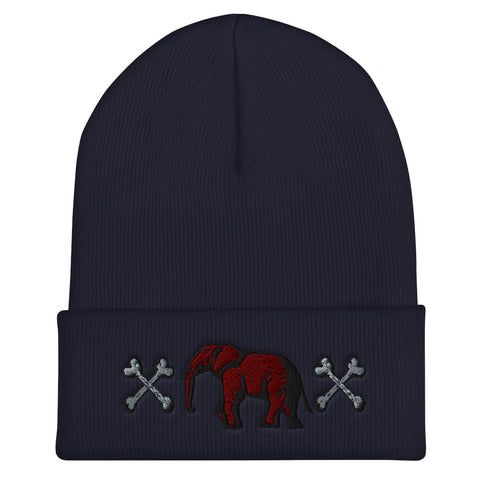 Navy blue victorious Beanie