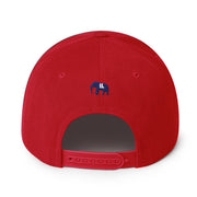 UJL Varsity Snapback Hat