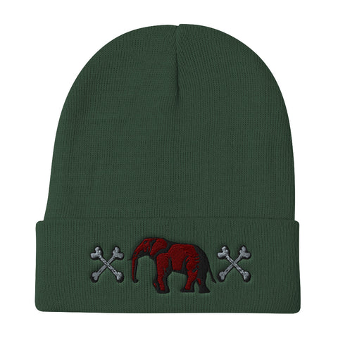Victorious UJL  Beanie