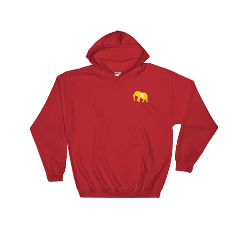 The GOLD STANDARD Hoodie