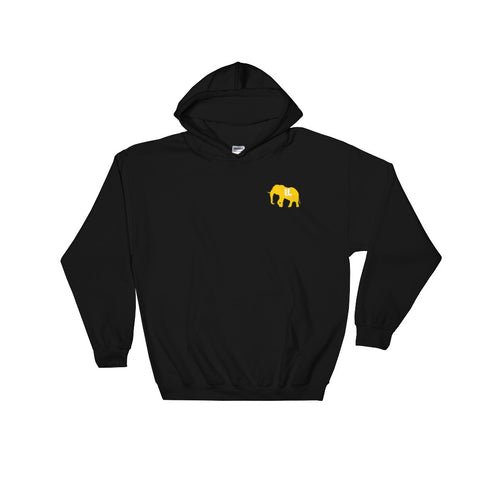The GOLD STANDARD Hoodie