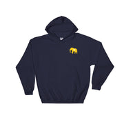 The GOLD STANDARD Hoodie