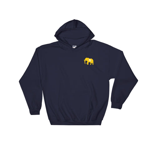 The GOLD STANDARD Hoodie