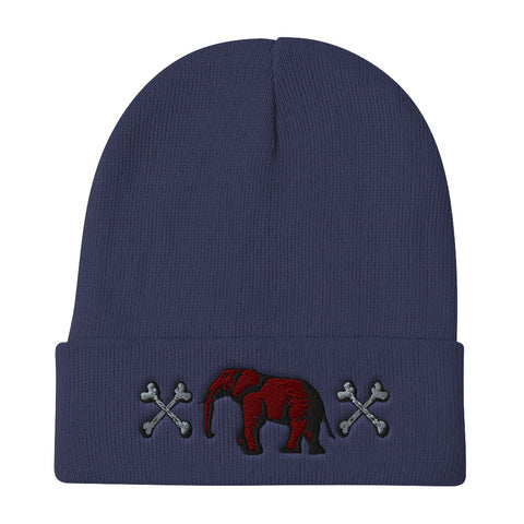 Victorious UJL  Beanie