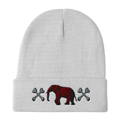 Victorious UJL  Beanie