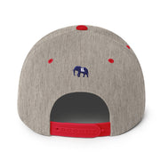 UJL Varsity Snapback Hat