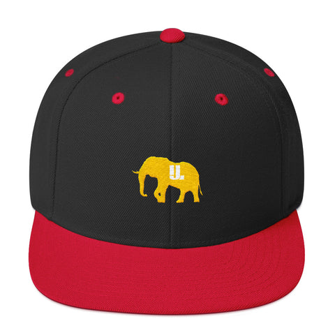 The GOLD STANDARD snapback