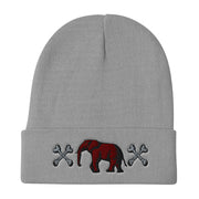 Victorious UJL  Beanie