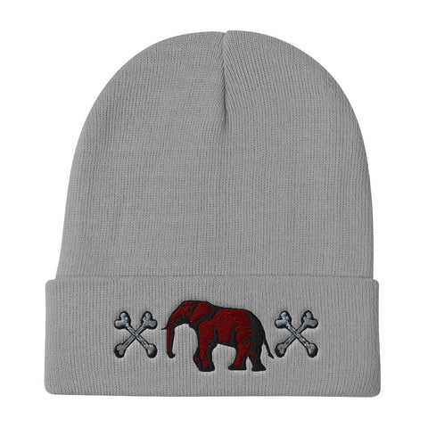 Victorious UJL  Beanie