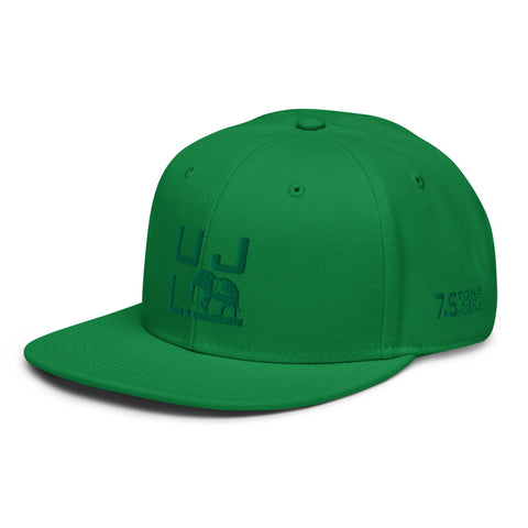 Solid 7.5 Snapback Hat