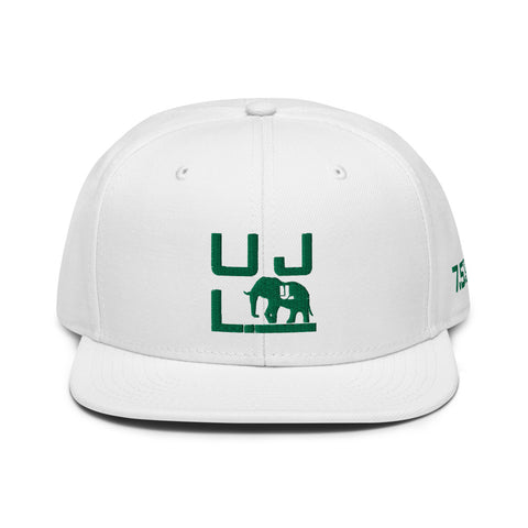 Solid 7.5 Snapback Hat